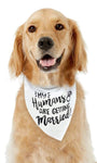 Junggesellenshirts.de Dogs Dog Bandana "Getting Married"