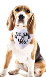 Junggesellenshirts.de Dogs Dog Bandana "She Said Yes"